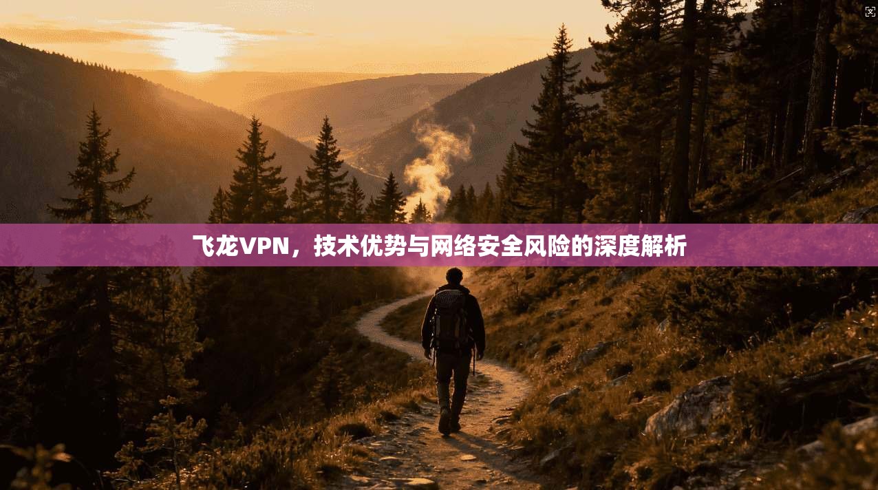飞龙VPN，技术优势与网络安全风险的深度解析