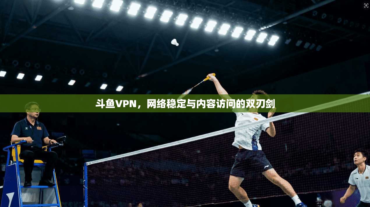 斗鱼VPN，网络稳定与内容访问的双刃剑