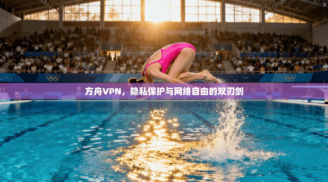 方舟VPN，隐私保护与网络自由的双刃剑