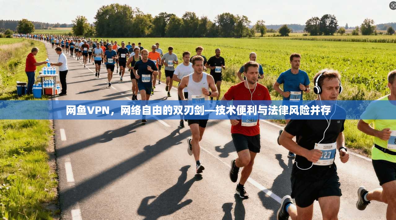 网鱼VPN，网络自由的双刃剑—技术便利与法律风险并存