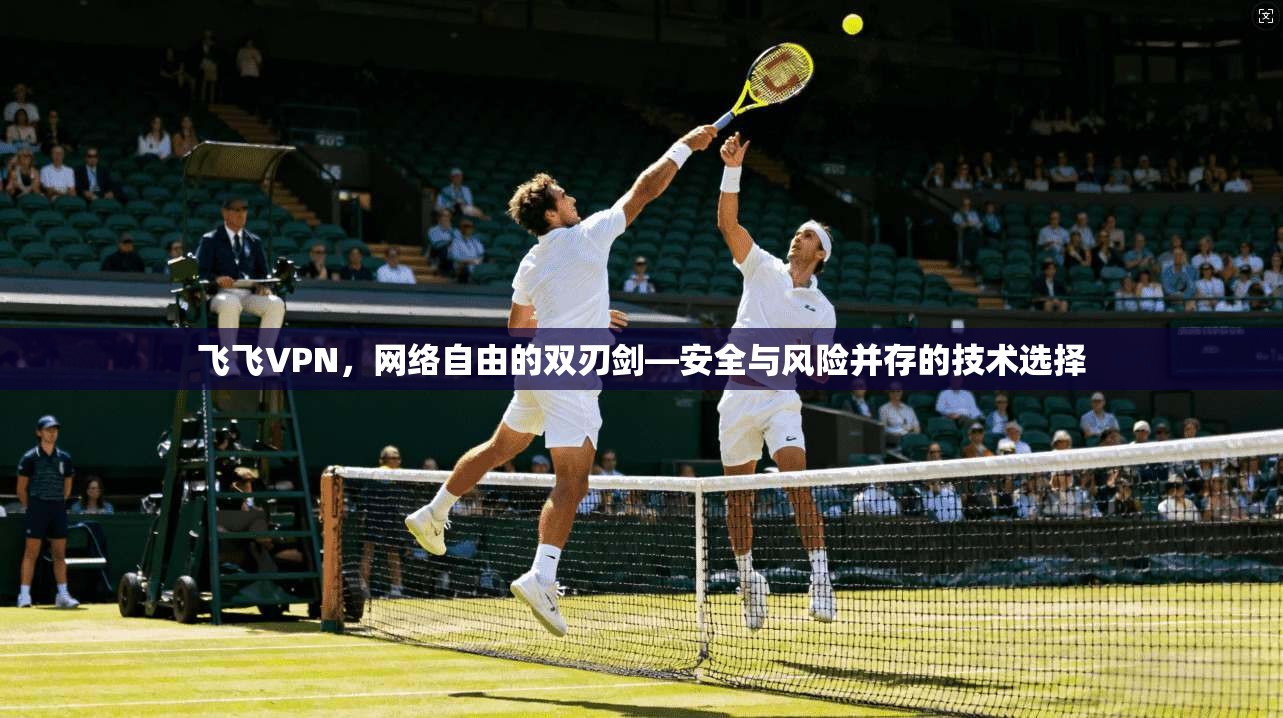 飞飞VPN，网络自由的双刃剑—安全与风险并存的技术选择