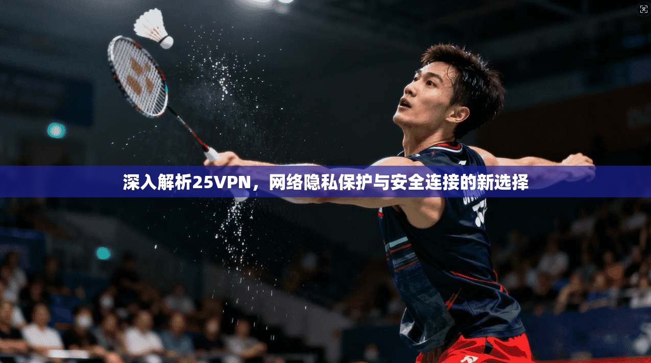 深入解析25VPN，网络隐私保护与安全连接的新选择