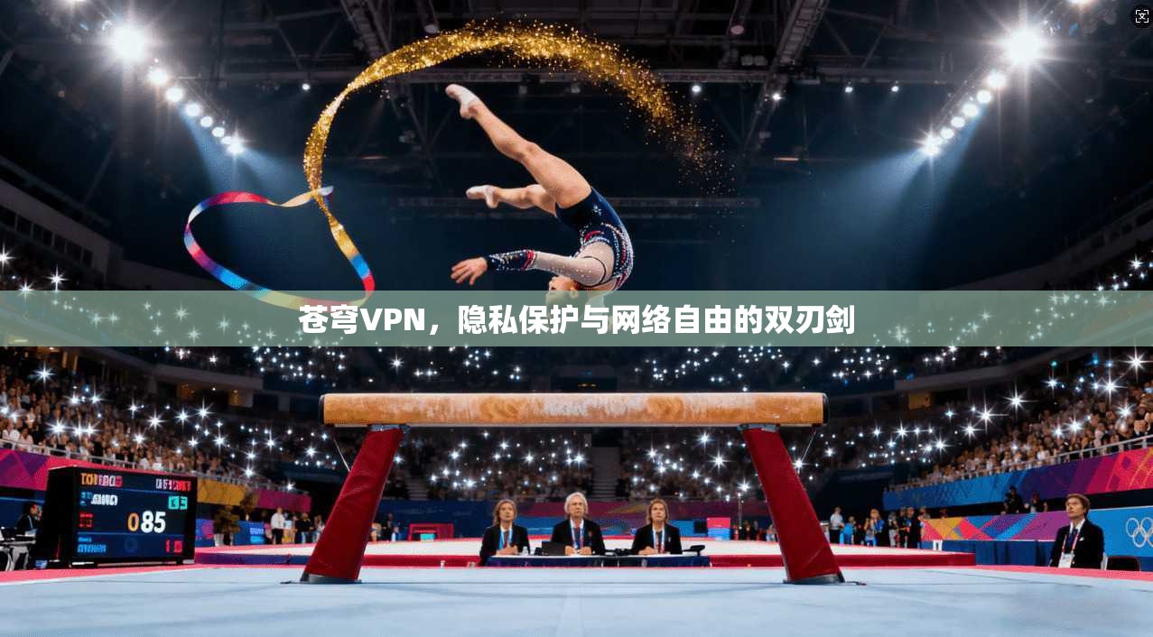 苍穹VPN，隐私保护与网络自由的双刃剑