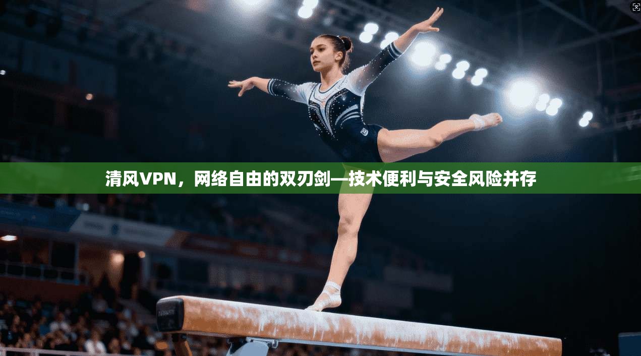 清风VPN，网络自由的双刃剑—技术便利与安全风险并存