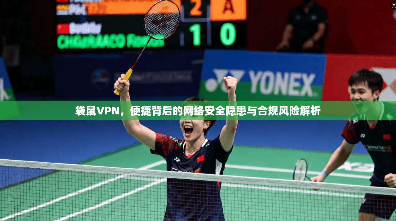 袋鼠VPN，便捷背后的网络安全隐患与合规风险解析