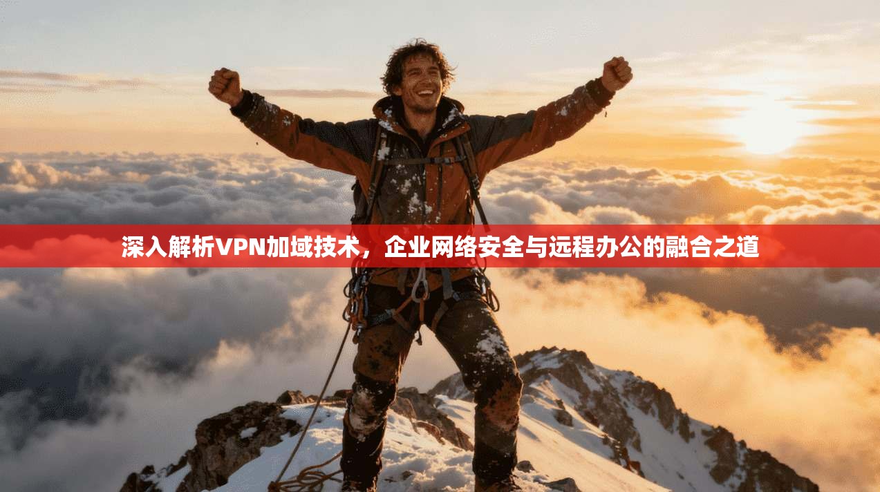 深入解析VPN加域技术，企业网络安全与远程办公的融合之道