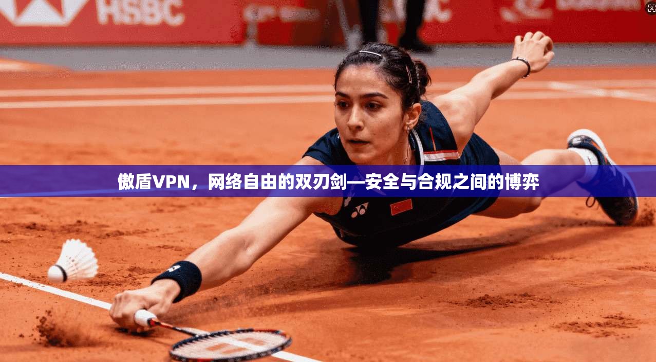 傲盾VPN，网络自由的双刃剑—安全与合规之间的博弈