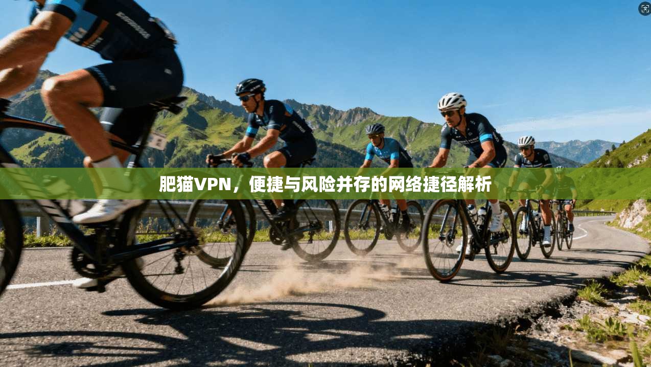 肥猫VPN,便捷与风险并存的网络捷径解析