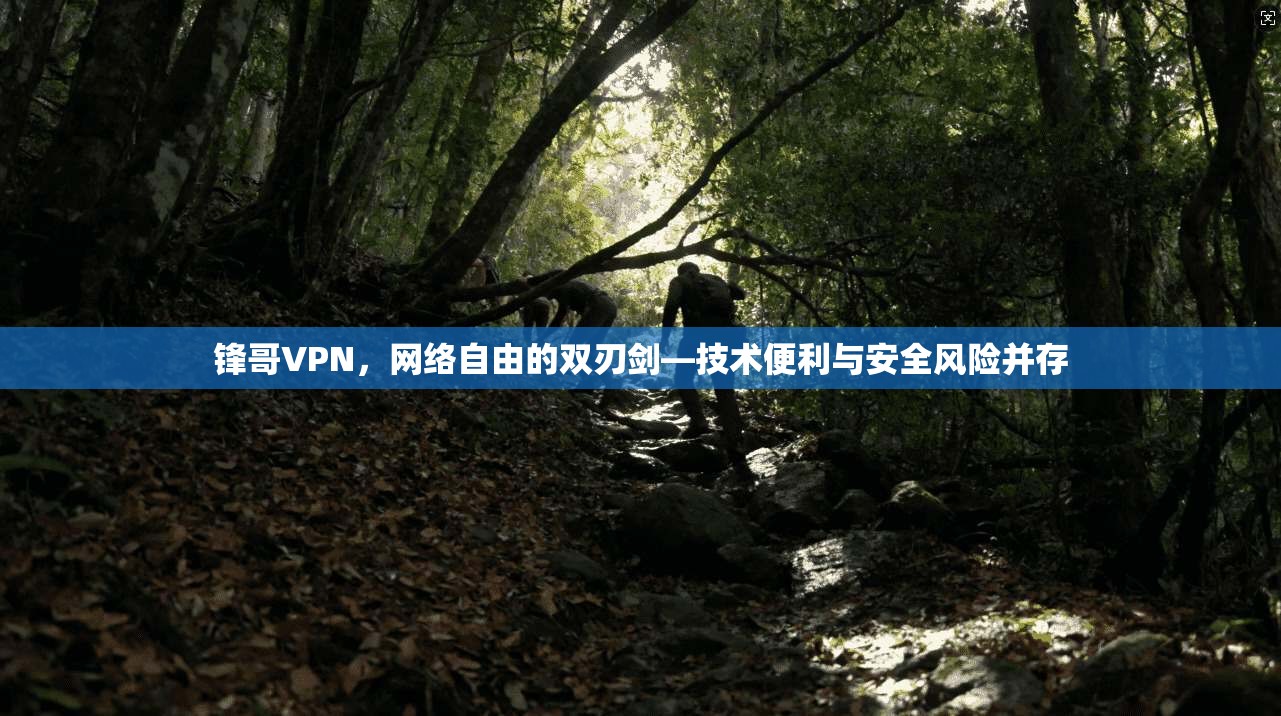 锋哥VPN，网络自由的双刃剑—技术便利与安全风险并存