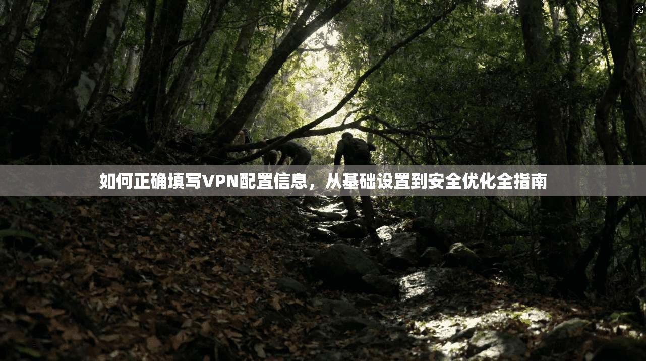 如何正确填写VPN配置信息,从基础设置到安全优化全指南