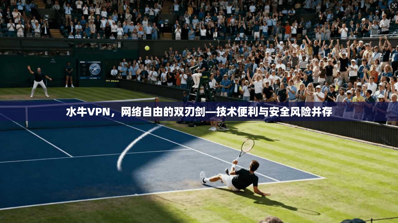 水牛VPN，网络自由的双刃剑—技术便利与安全风险并存