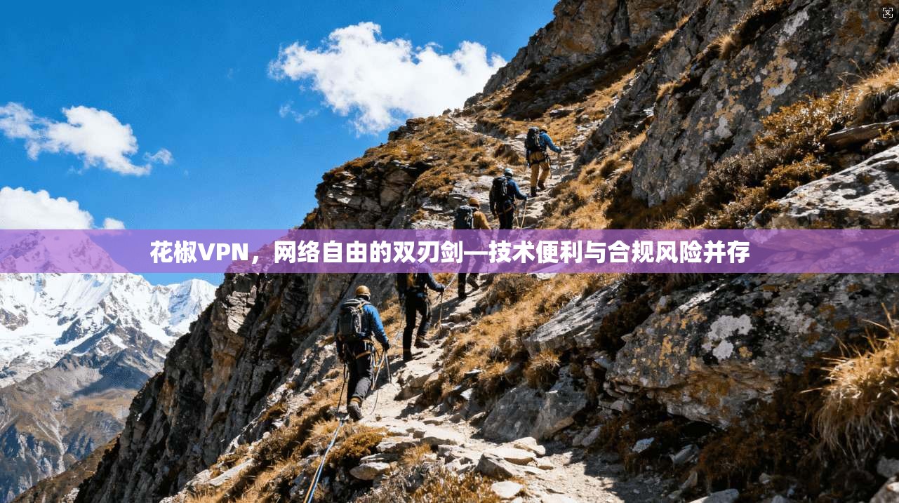 花椒VPN，网络自由的双刃剑—技术便利与合规风险并存