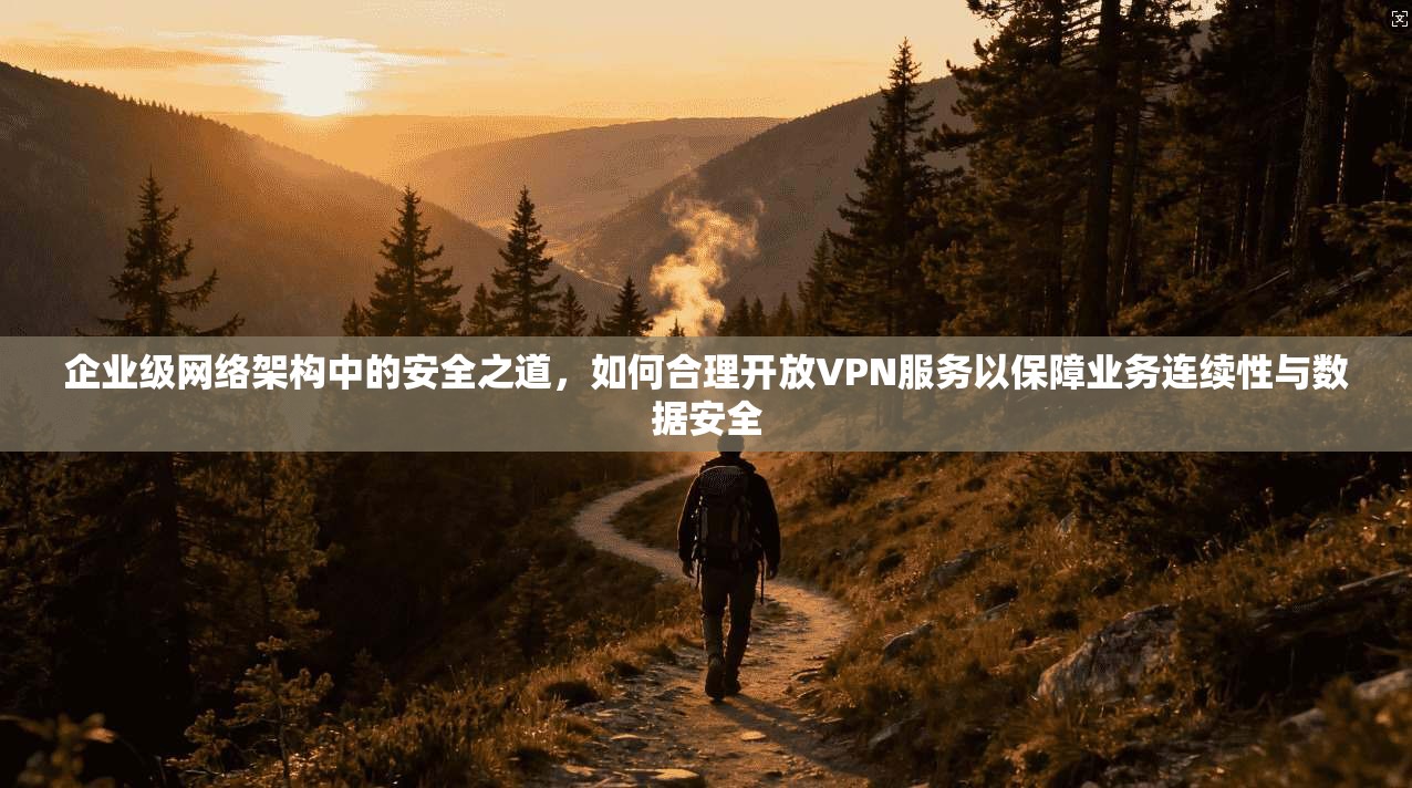 企业级网络架构中的安全之道，如何合理开放VPN服务以保障业务连续性与数据安全