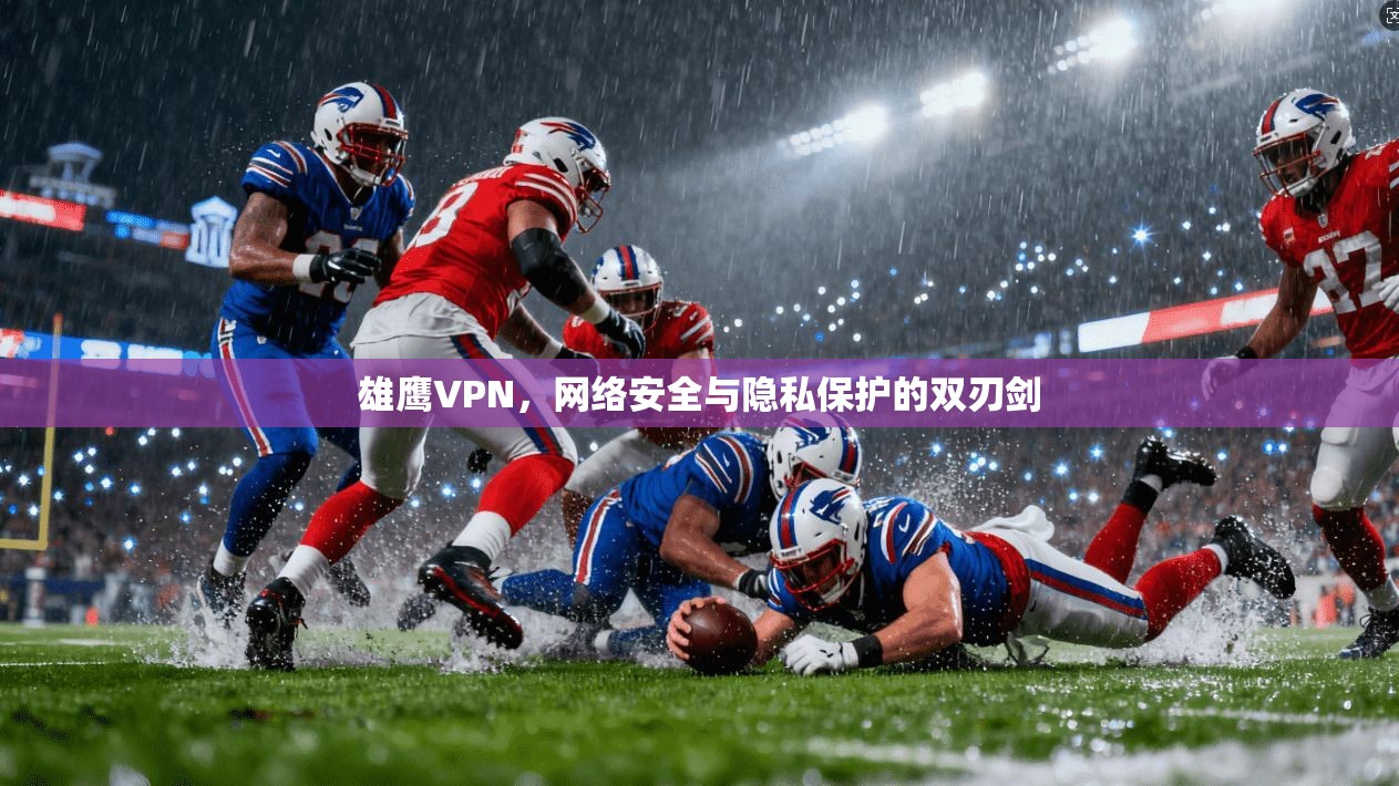 雄鹰VPN,网络安全与隐私保护的双刃剑
