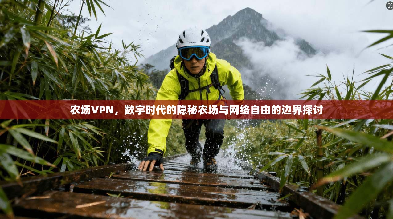 农场VPN，数字时代的隐秘农场与网络自由的边界探讨