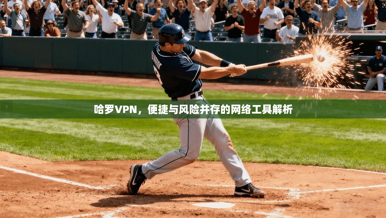 哈罗VPN,便捷与风险并存的网络工具解析