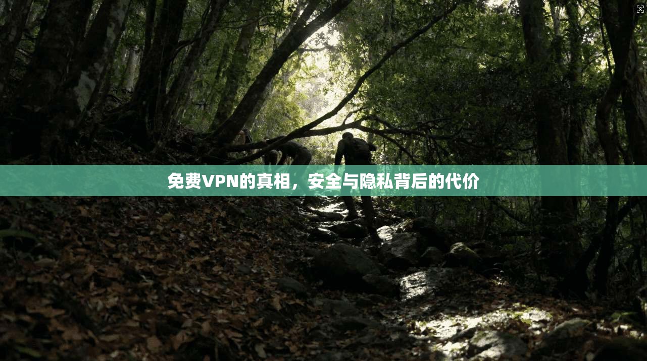 免费VPN的真相,安全与隐私背后的代价