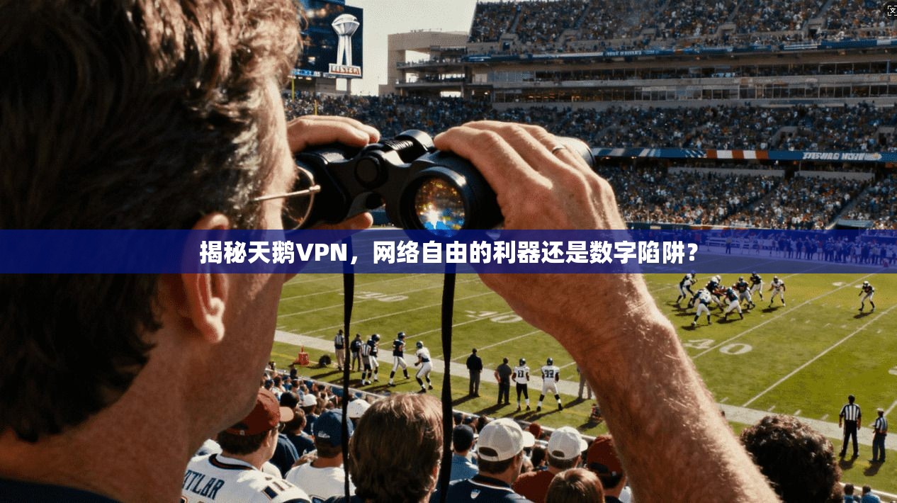 揭秘天鹅VPN，网络自由的利器还是数字陷阱？