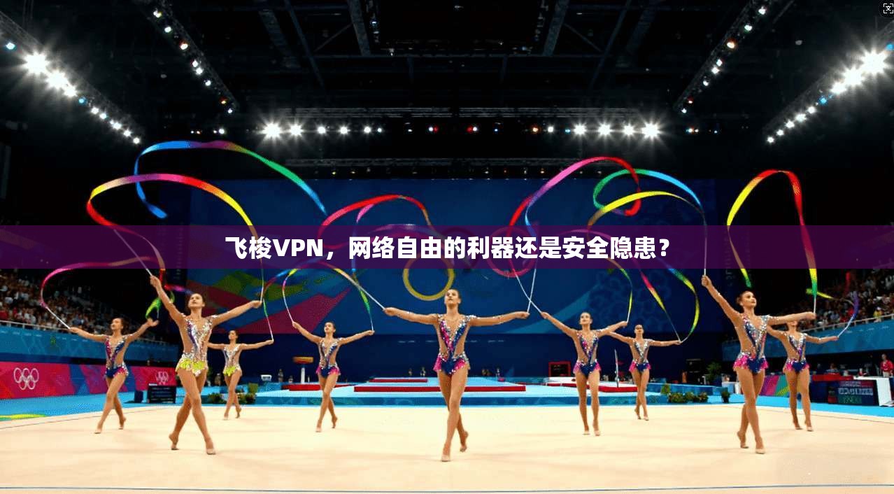 飞梭VPN，网络自由的利器还是安全隐患？