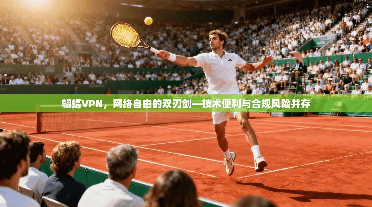 翩蝠VPN，网络自由的双刃剑—技术便利与合规风险并存