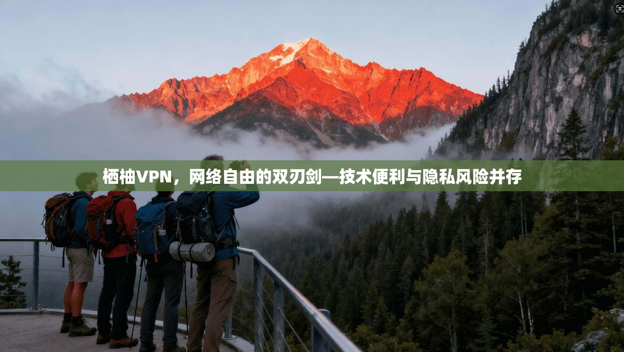 栖柚VPN，网络自由的双刃剑—技术便利与隐私风险并存