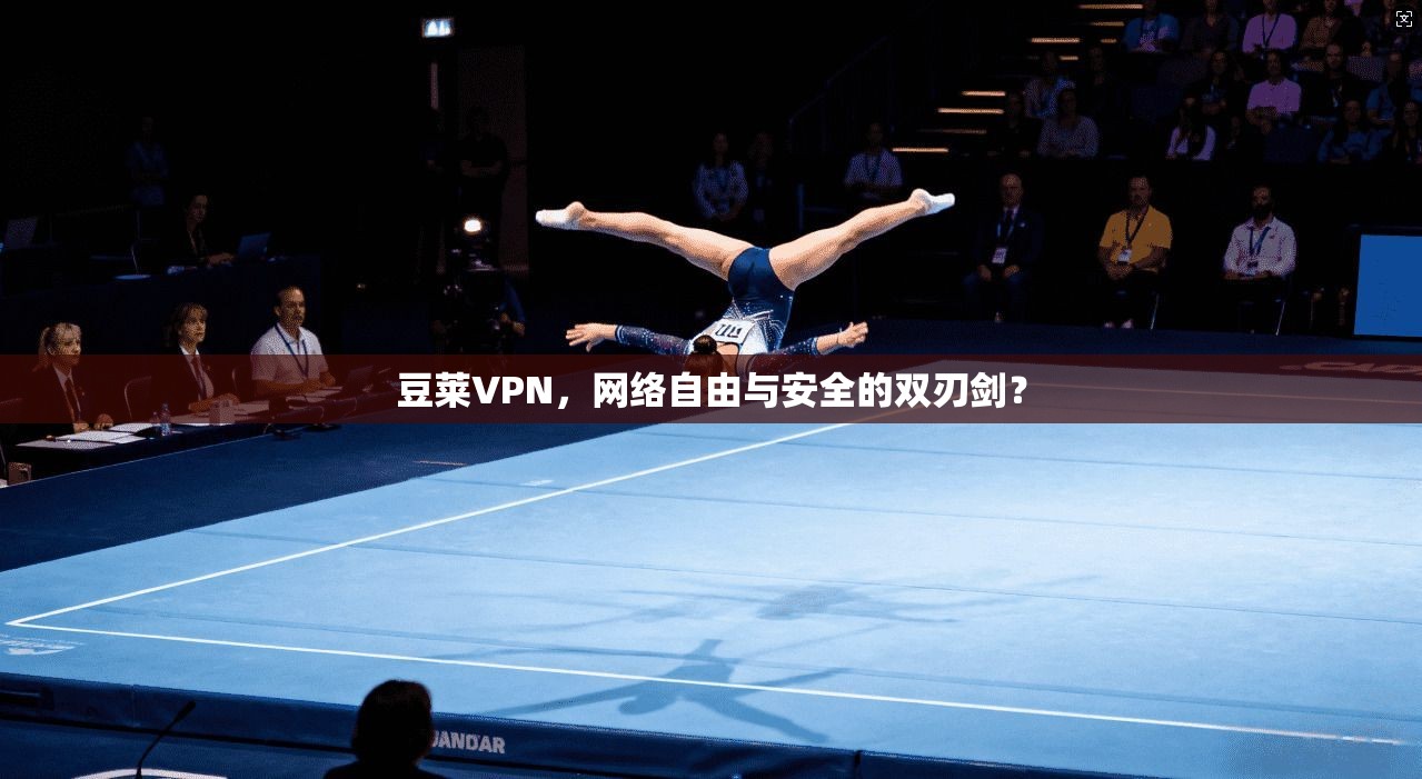 豆莱VPN，网络自由与安全的双刃剑？