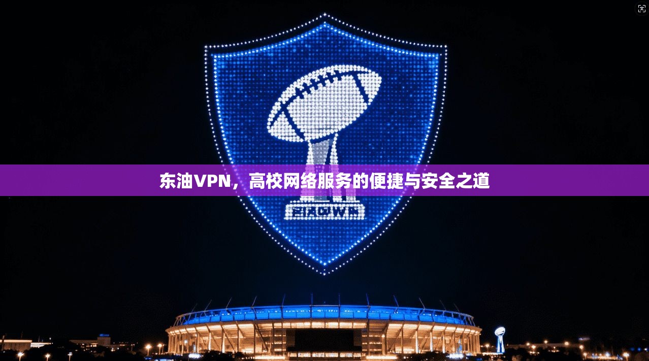 东油VPN，高校网络服务的便捷与安全之道