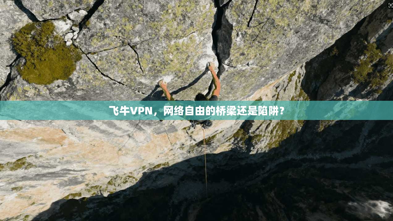 飞牛VPN，网络自由的桥梁还是陷阱？