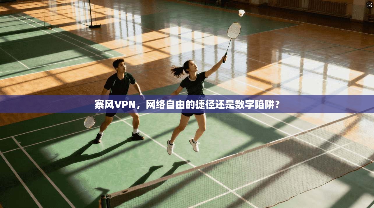 寨风VPN，网络自由的捷径还是数字陷阱？