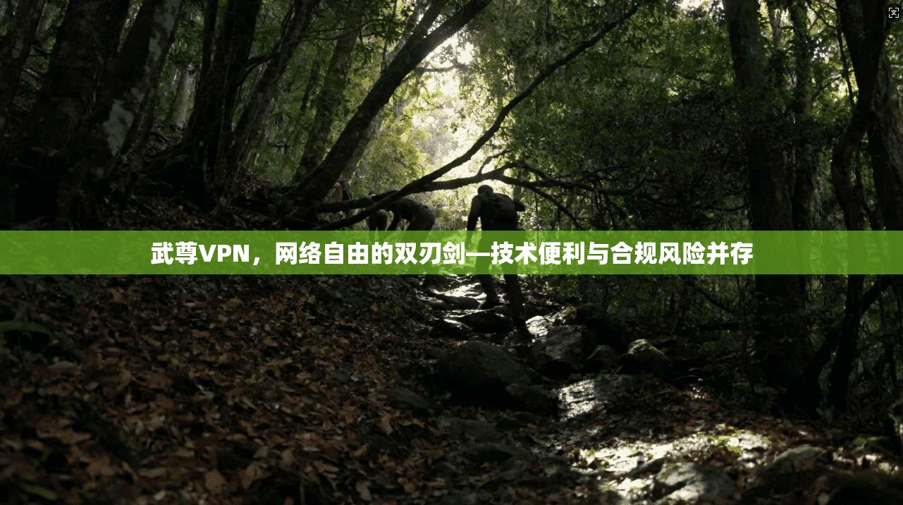 武尊VPN,网络自由的双刃剑—技术便利与合规风险并存