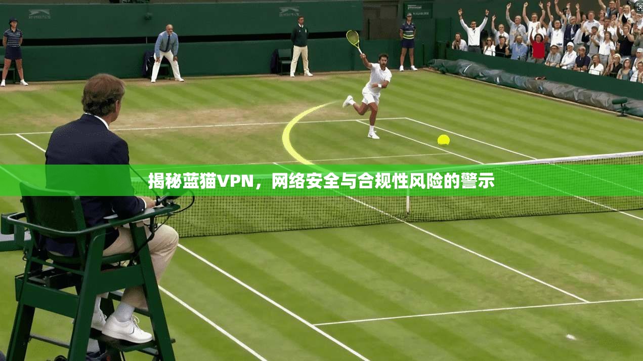 揭秘蓝猫VPN,网络安全与合规性风险的警示