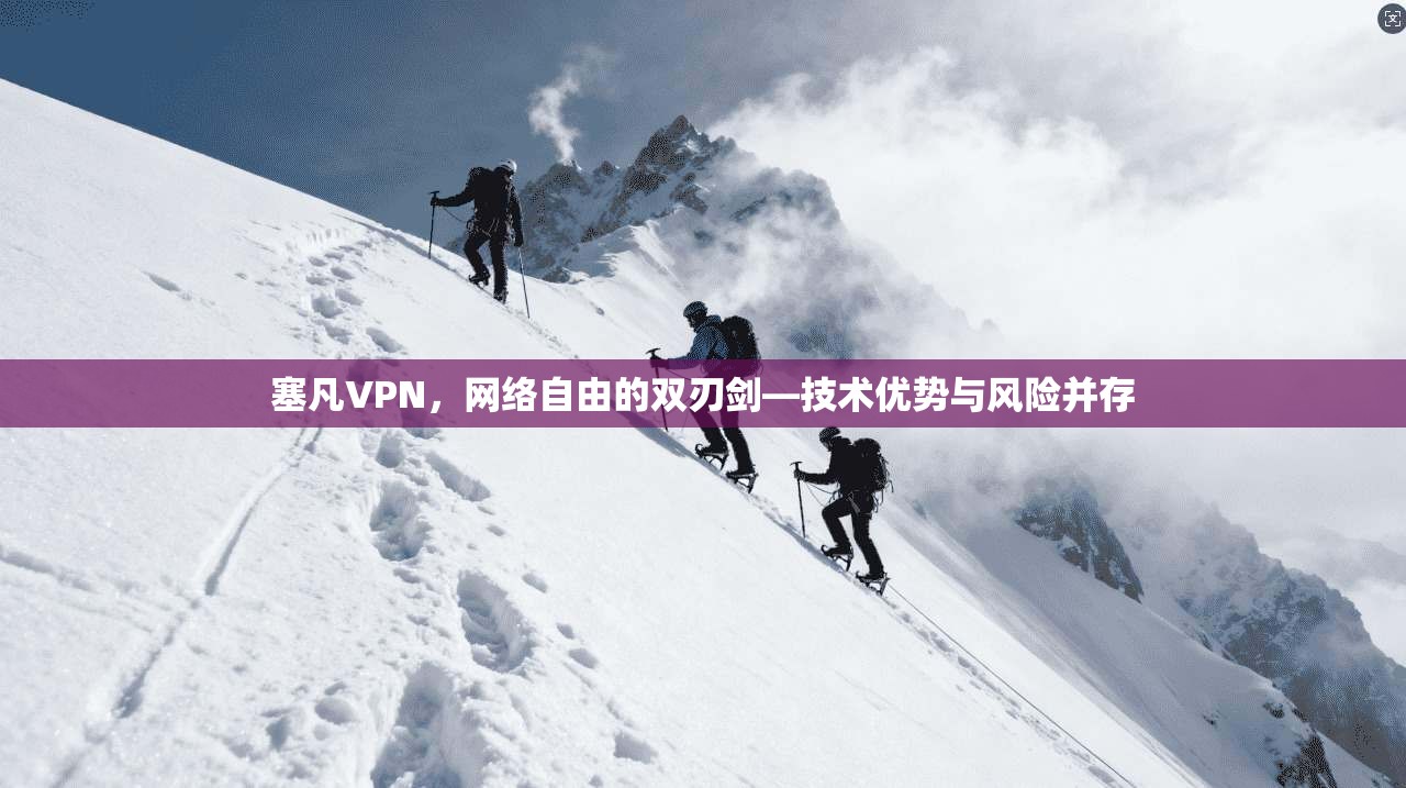 塞凡VPN，网络自由的双刃剑—技术优势与风险并存