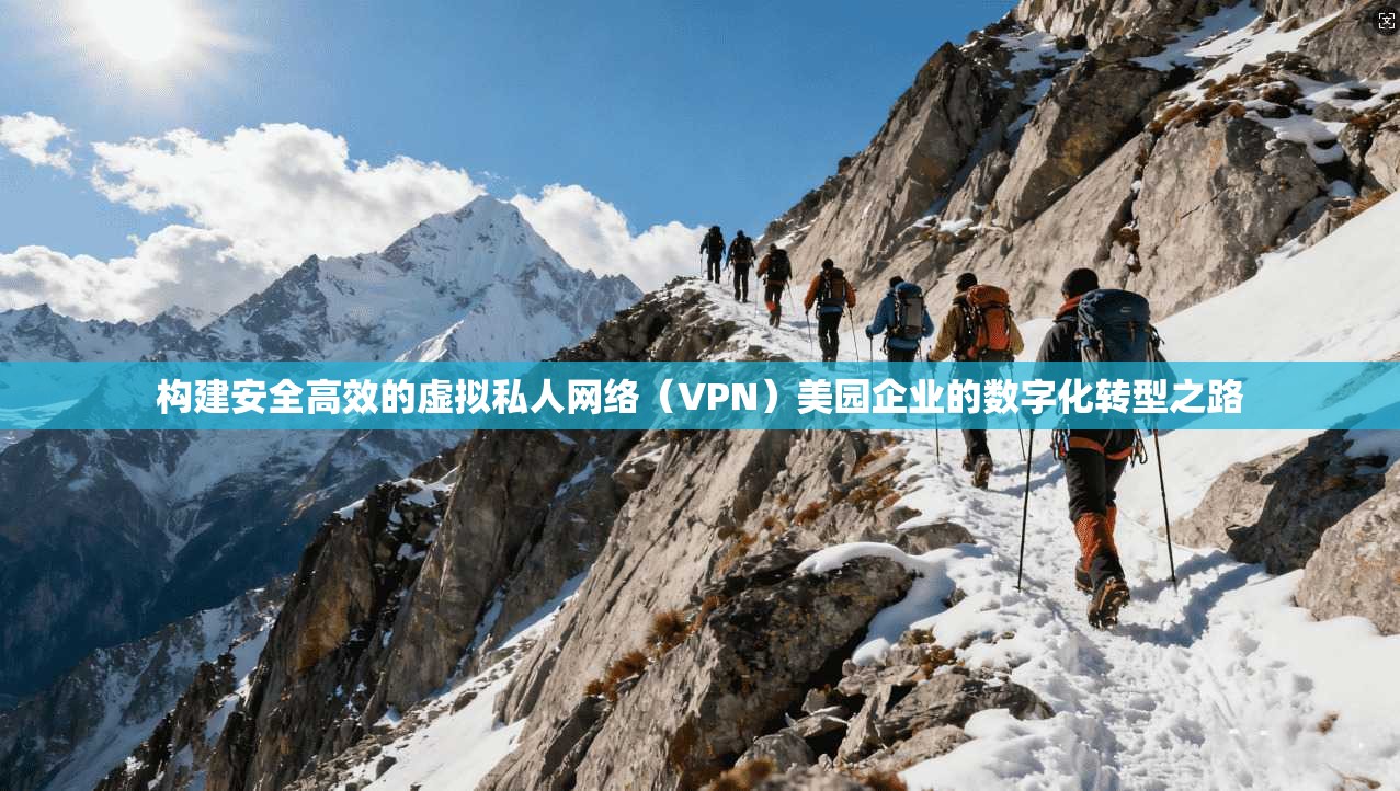 构建安全高效的虚拟私人网络（VPN）美园企业的数字化转型之路