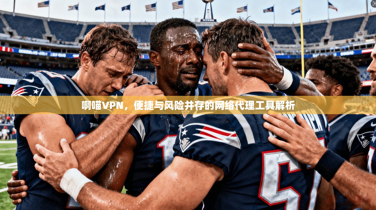啊喵VPN,便捷与风险并存的网络代理工具解析