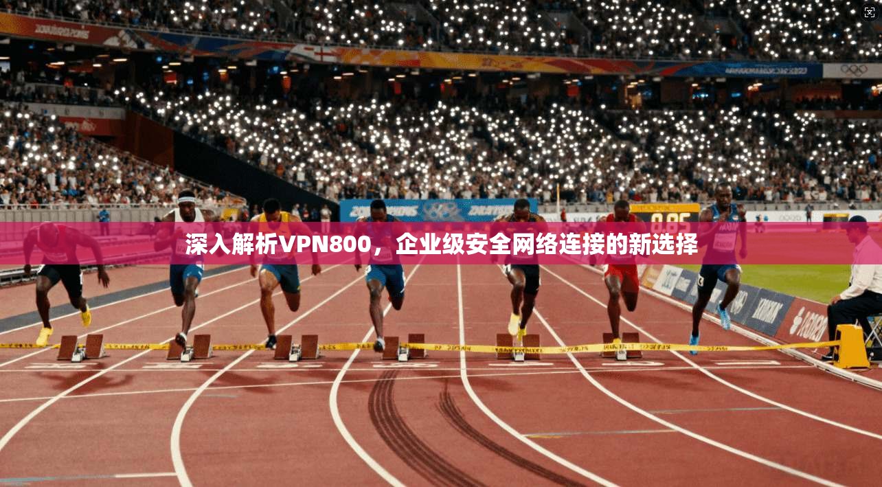深入解析VPN800,企业级安全网络连接的新选择