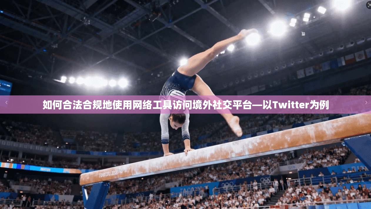 如何合法合规地使用网络工具访问境外社交平台—以Twitter为例