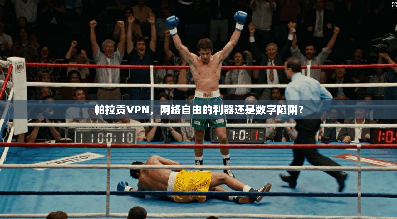 帕拉贡VPN，网络自由的利器还是数字陷阱？