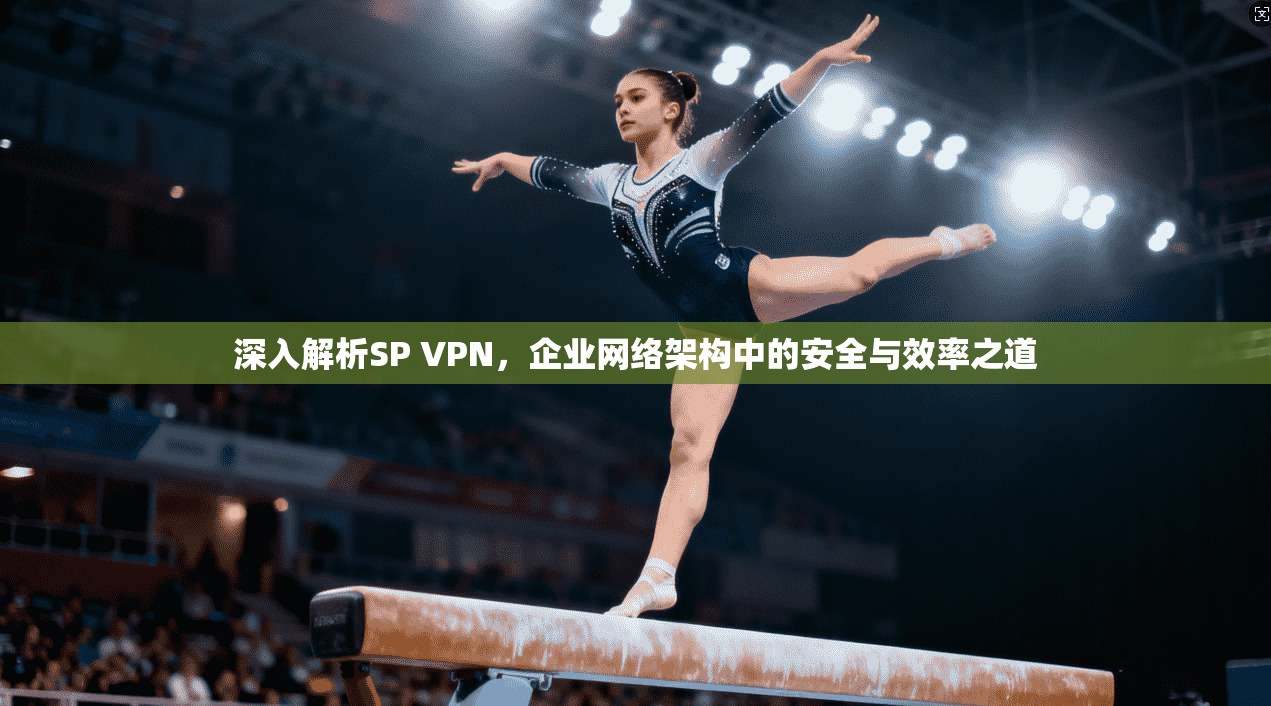 深入解析SP VPN，企业网络架构中的安全与效率之道