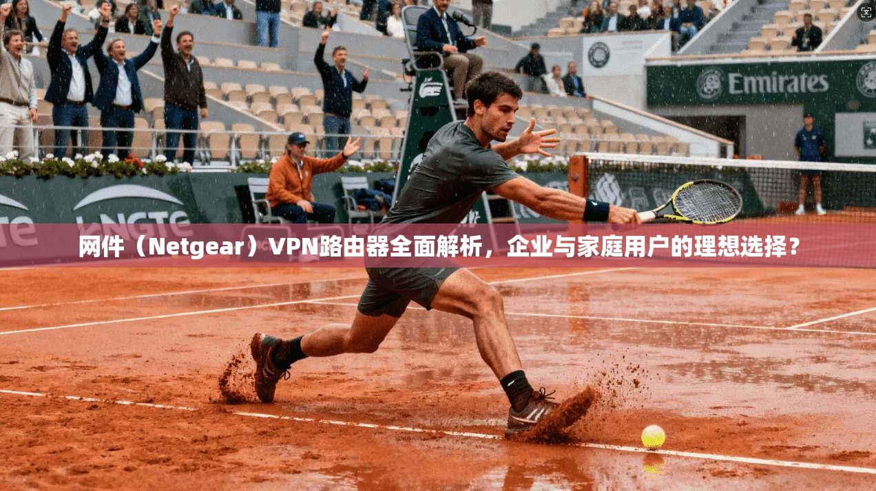 网件（Netgear）VPN路由器全面解析，企业与家庭用户的理想选择？