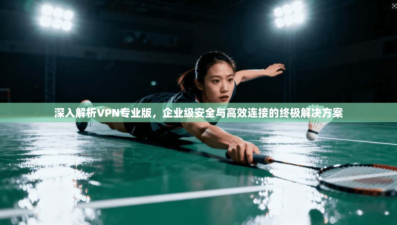 深入解析VPN专业版,企业级安全与高效连接的终极解决方案