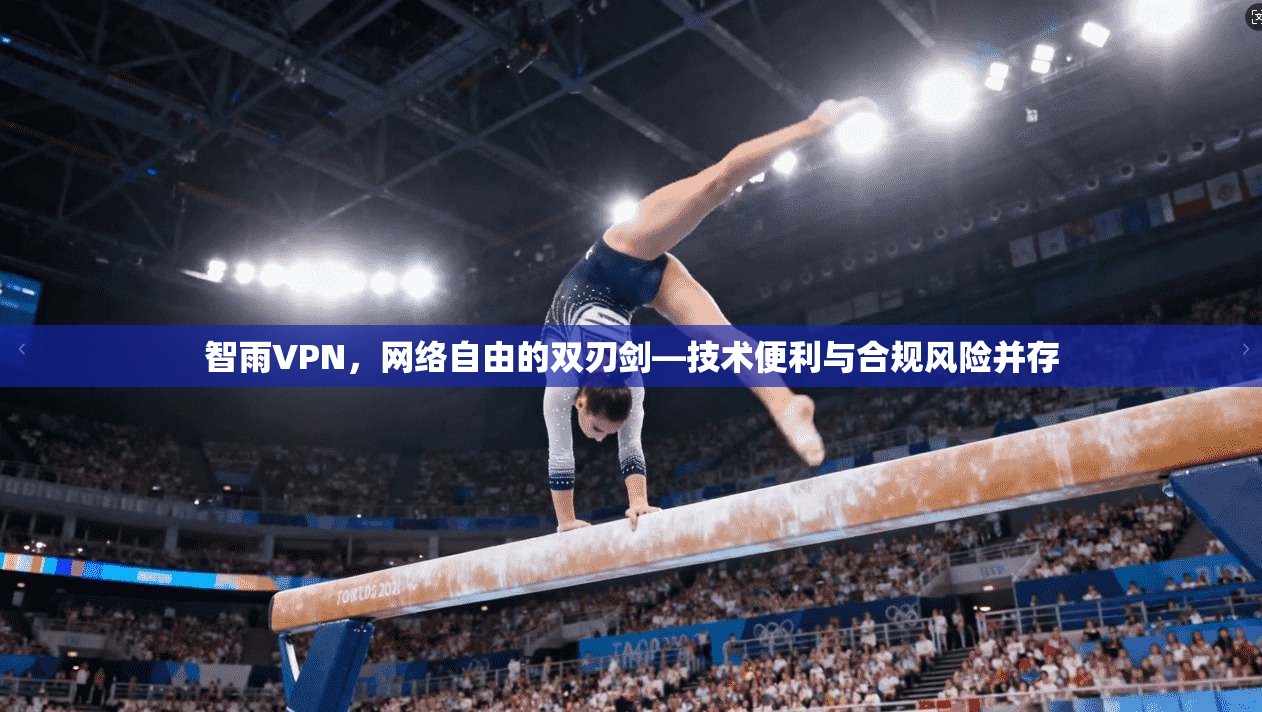 智雨VPN，网络自由的双刃剑—技术便利与合规风险并存