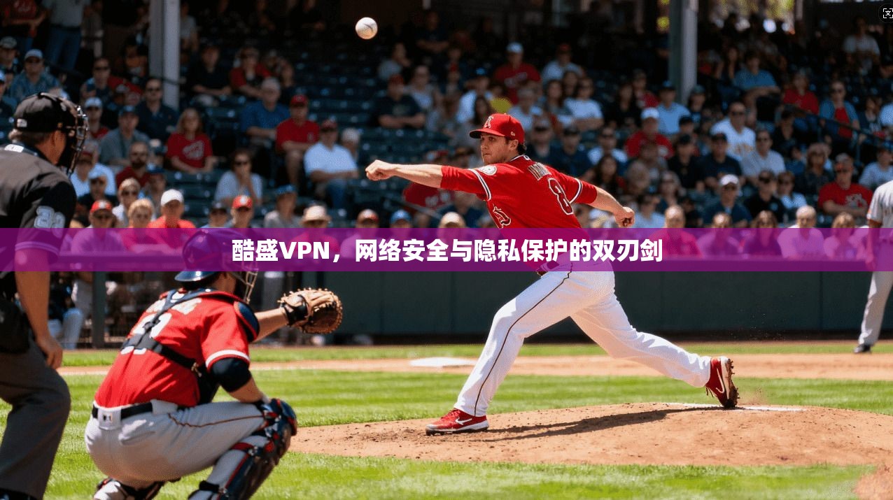 酷盛VPN,网络安全与隐私保护的双刃剑