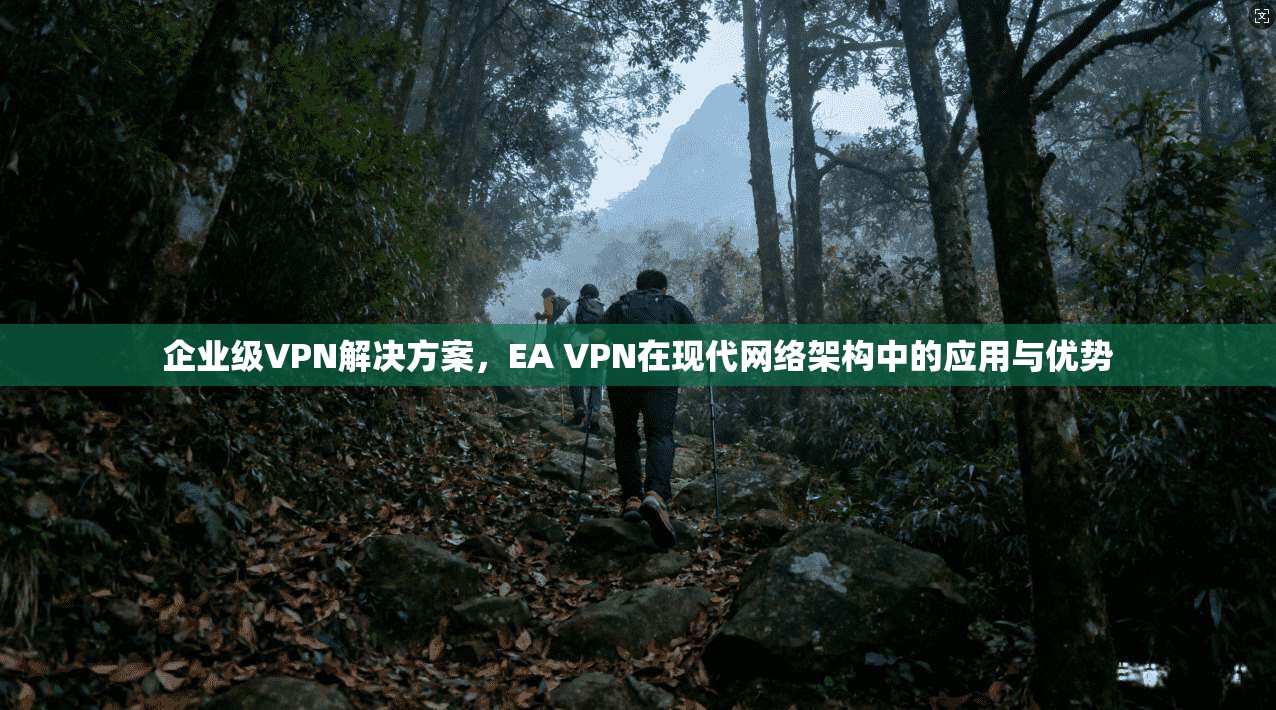 企业级VPN解决方案，EA VPN在现代网络架构中的应用与优势