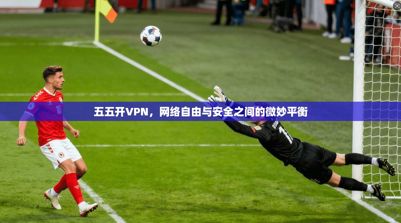 五五开VPN，网络自由与安全之间的微妙平衡