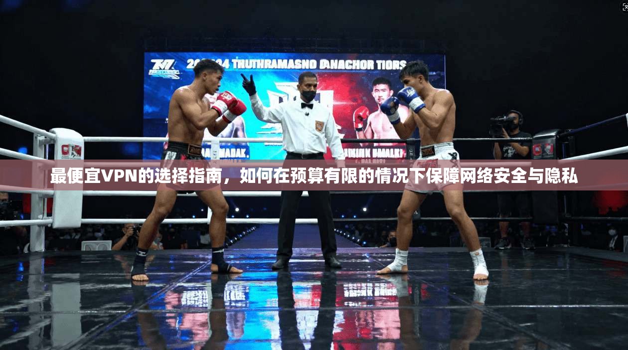 最便宜VPN的选择指南，如何在预算有限的情况下保障网络安全与隐私
