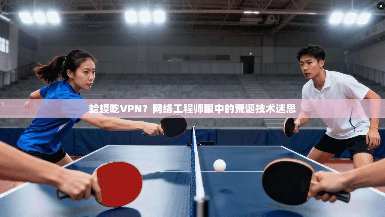 蛤蟆吃VPN?网络工程师眼中的荒诞技术迷思