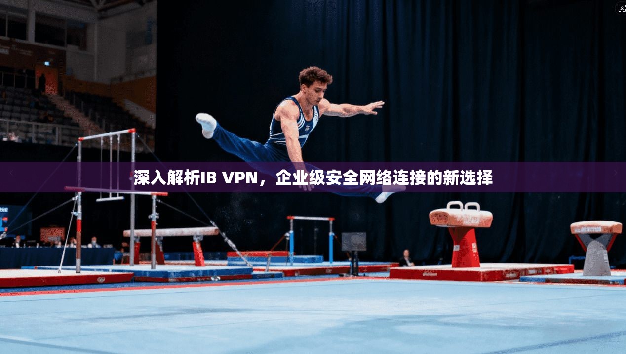 深入解析IB VPN,企业级安全网络连接的新选择