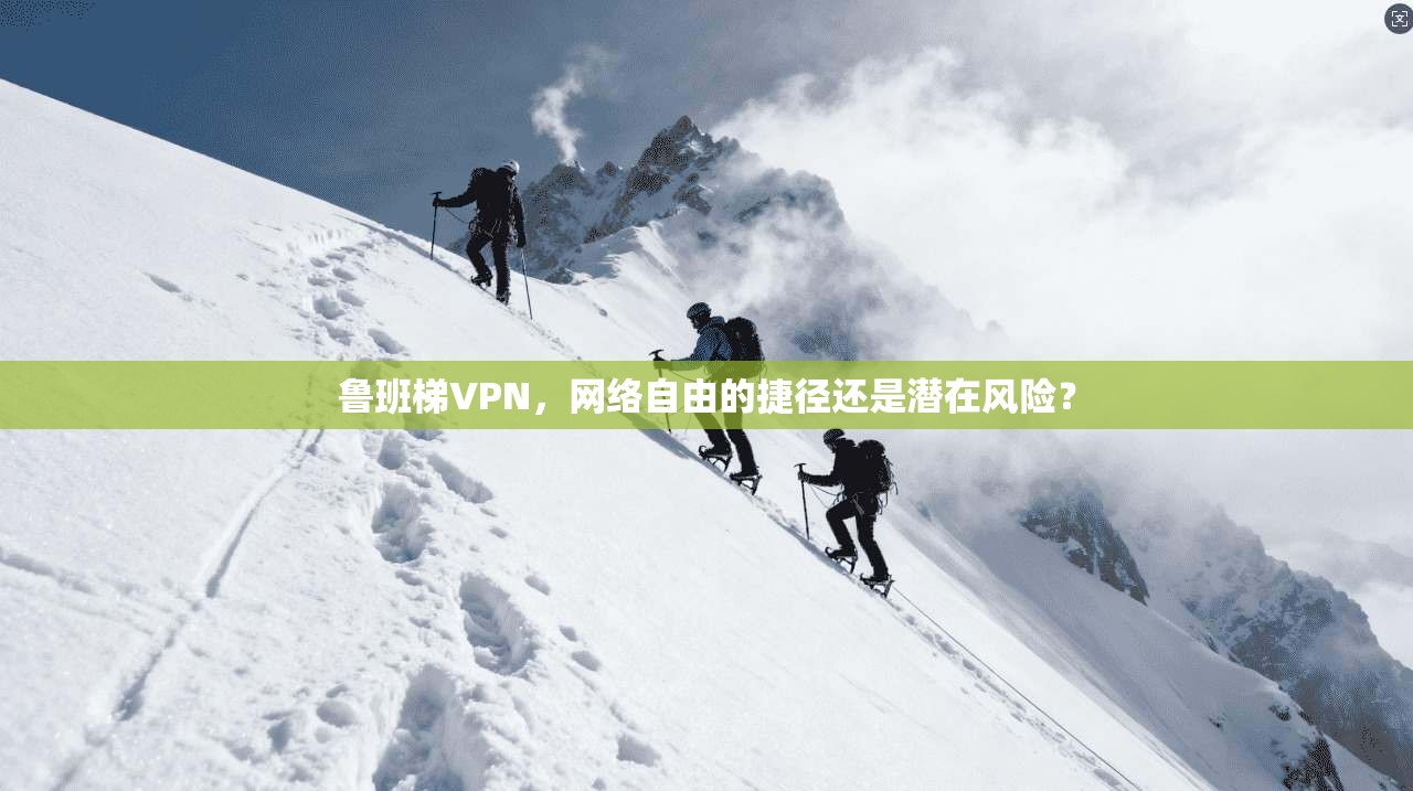 鲁班梯VPN，网络自由的捷径还是潜在风险？