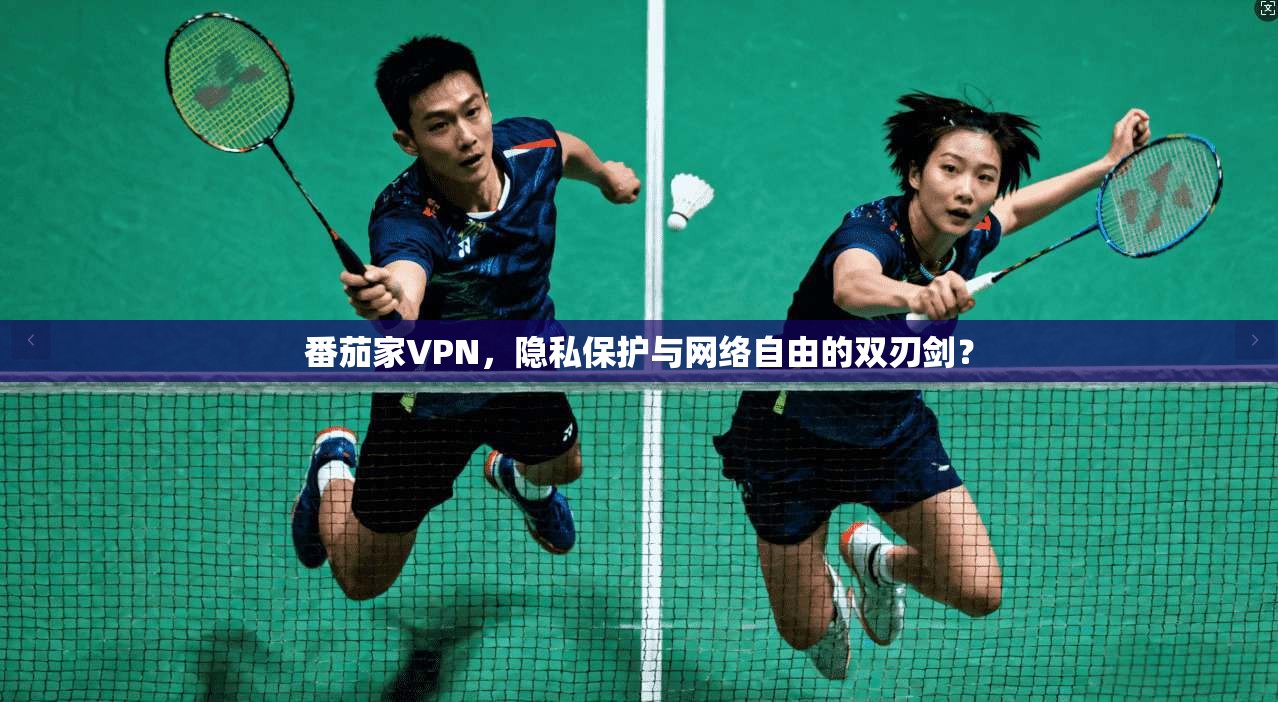 番茄家VPN,隐私保护与网络自由的双刃剑?