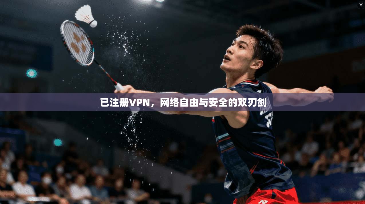 已注册VPN，网络自由与安全的双刃剑